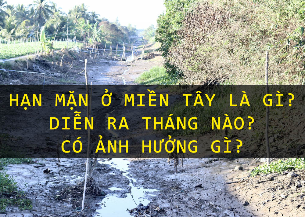 han-man-o-mien-tay-la-gi