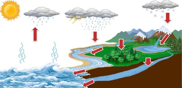 nuoc-mua-nuoc-cung-hay-nuoc-mem
