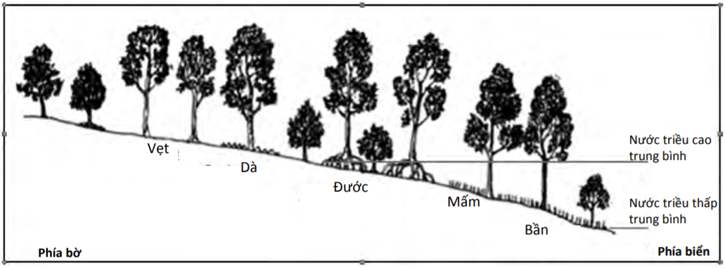 rung-ngap-man-lon-nhat-viet-nam