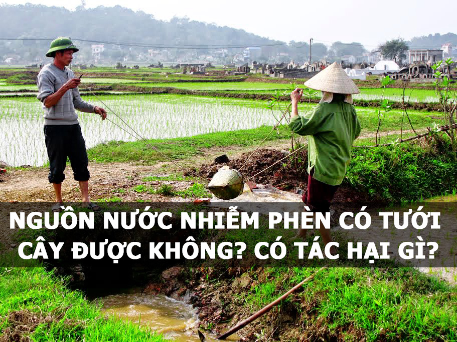 Nguồn nước nhiễm phèn có tưới cây được không? Có tác hại gì