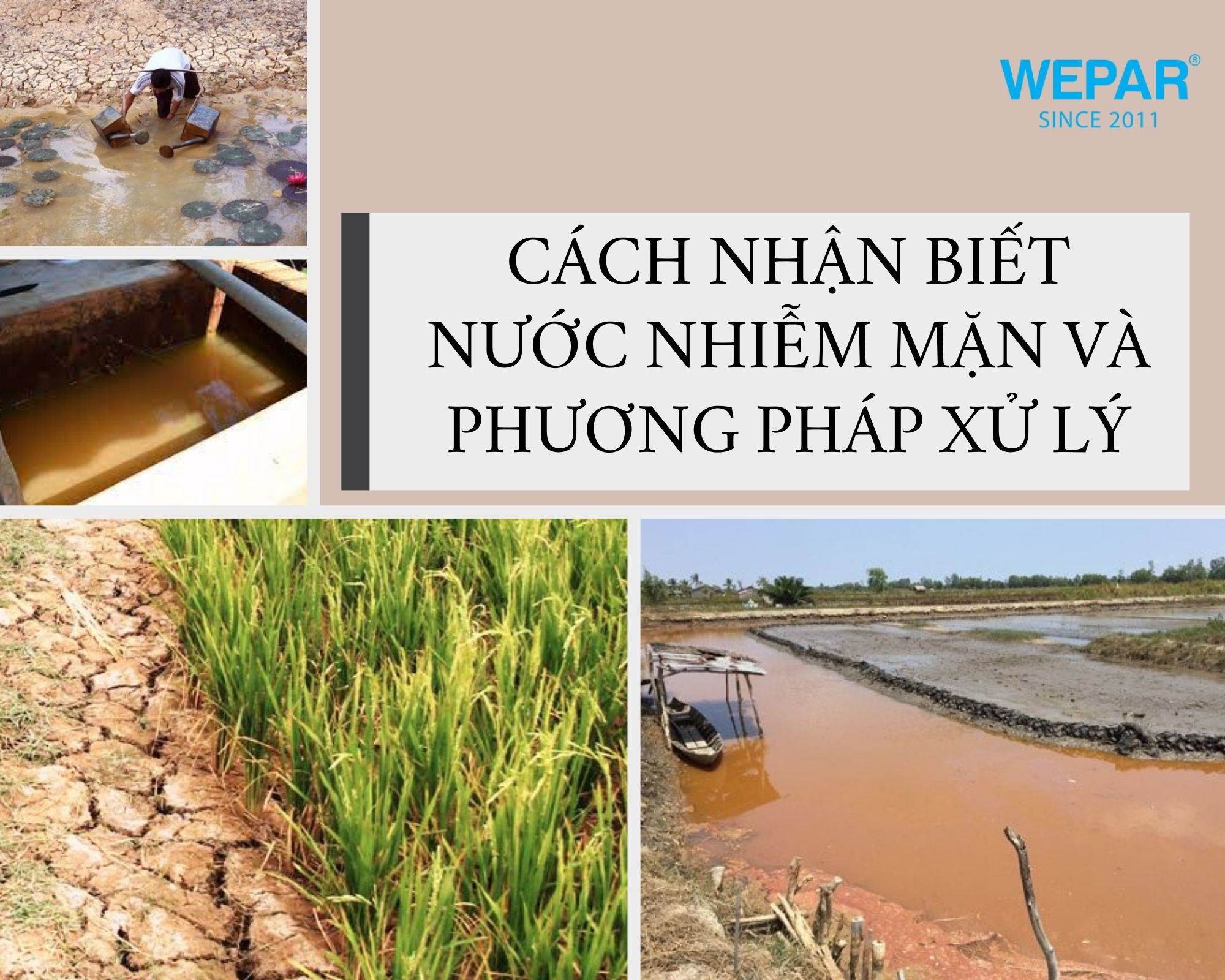 Cách nhận biết nước nhiễm mặn và phương pháp xử lý