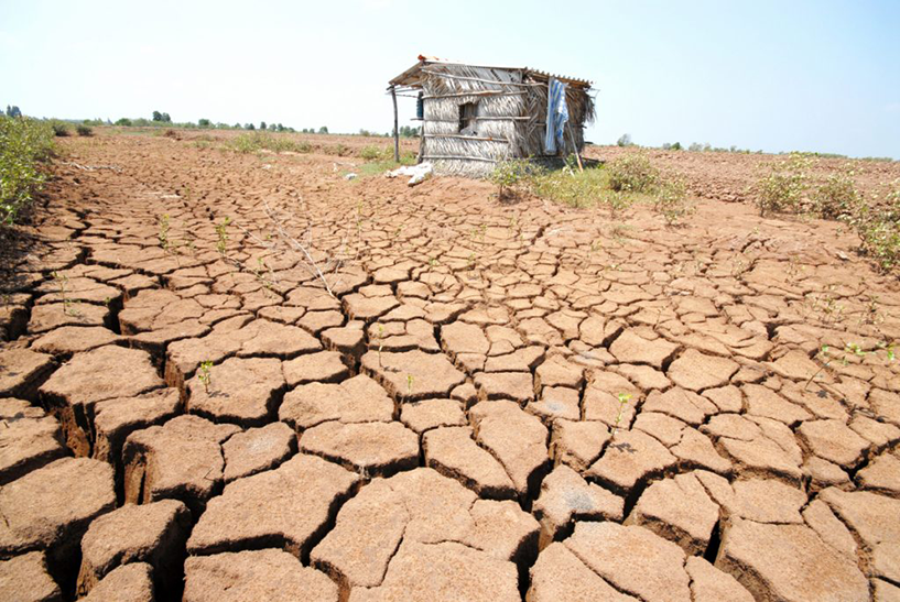 Đánh giá thực trạng đất nhiễm mặn ở Việt Nam Đánh giá thực trạng đất nhiễm mặn ở Việt Nam
